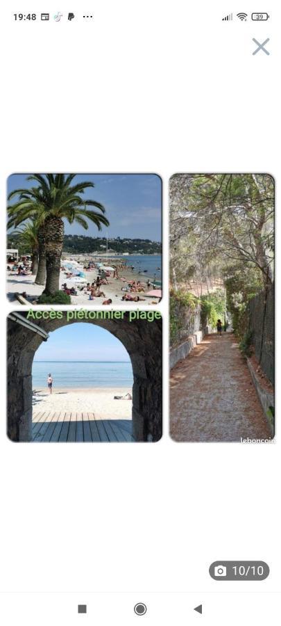 Rdj Terrasse Piscine Sur * Sanary-sur-Mer